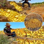 They Said I Was Crazy—Until I Found Gold, Diamonds, and Rare Gems Hiding Right Beneath My Backyard! You Won’t Believe What Else Was Buried There for Years…