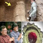 “Unbelievable Discovery Shocks Archaeologists at Oak Island During Final Excavation: Secrets of the Past Unearthed That Could Change History Forever!”  In what was meant to be the final dig at Oak Island, an unexpected and mind-boggling find has left experts speechless and raised more questions than answers. The excavation, which had long been thought to be wrapping up years of fruitless searching, has now uncovered something so profound that it could rewrite everything we know about the island’s mysterious history. What did the team uncover deep within the ground that could shake the foundations of historical knowledge and spark intense speculation worldwide? The mystery deepens.