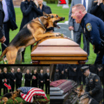 Heart-Stopping Rescue: How a Broken German Shepherd Found a Buried Girl No One Else Could Hear — Click the Link to Watch the Full Video Now!