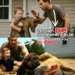 A Little Girl Sat in the Middle of the Road, Clutching Her Injured Dog and Crying — But When a Stranger Followed the Blood Trail Behind Them, He Discovered Something So Unbelievable, It Changed Everyone’s Life That Day. Click the Link to Learn What Happened!