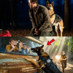 A Little Girl Sat in the Middle of the Road, Clutching Her Injured Dog and Crying — But When a Stranger Followed the Blood Trail Behind Them, He Discovered Something So Unbelievable, It Changed Everyone’s Life That Day. Click the Link to Learn What Happened!