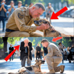 He Thought He Was Just Rescuing a Dog – What This Soldier Discovered After Saving the Pup Changed Everything Forever. Click the link to see more.