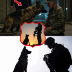 From Beloved Partner to Unwitting Test Subject: Police K9 Saves Handler’s Life in Heroic Act, Sparking Deadly Cover-Up, Mysterious Disappearances, and a National Uproar—Would You Risk Everything, Even Your Dog’s Freedom, to Expose the Hidden Dark Side of Law Enforcement K9 Programs?