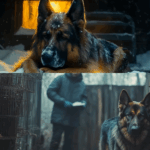 A Brave Little Girl and Her Loyal Dog Take on a Dangerous Gang, Uncovering a Hidden Secret That Will Shock Everyone In a small, unsuspecting town, a little girl and her dog stood up to a ruthless gang that terrorized their community. What started as a simple act of bravery quickly unraveled a dark and twisted secret that no one saw coming. As the girl and her dog faced off against the gang, they uncovered a web of corruption, betrayal, and greed that threatened the very fabric of their world. Will they survive to tell the story? Click the link to find out how this fearless duo exposed a truth that would change everything forever.