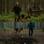 Nobody Knew Where the Crying German Shepherd Had Come From Until One Man Took the Risk to Follow It Back Into the Forest—And What He Discovered Hidden Among the Trees and Rocks Was So Heartbreaking, So Powerful, That It Changed His Life Forever; Click the Link for the Full Shocking Story That Everyone Is Talking About.