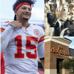 NFL HEATS UP! Patrick Mahomes boldly claimed “The Bills will lose the AFC East reign” — and Josh Allen didn’t hold back in his response. Just hours after Mahomes’ viral comment predicting a power shift in the AFC East, Bills quarterback Josh Allen fired back with a confident, borderline fiery response: “Does he even remember who was in the MVP race last season? I’m not here for headlines — I’m here to dominate.” Sources close to the Bills locker room say Allen’s intensity this offseason has “doubled” — fueled by doubters and a chip the size of Highmark Stadium.  With both superstars now drawing lines in the sand, fans are bracing for what could be the most explosive AFC showdown in years. Week 11 can’t come soon enough.