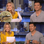 Inside Kelly Ripa’s Shocking ‘Blacklist’—The Secret Names of Co-Stars She Swore Never to Work With Again Revealed!