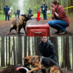When a terminally ill police officer said goodbye to his loyal German Shepherd, no one expected what the dog would do next. Defying age, injury, and even his own limitations, the dog’s final act shocked doctors and officers alike—and revealed a twist that would break every heart in the room. This isn’t just a story of loyalty; it’s about the unspoken bond between a man and the partner who stood by him until the very end. Click the link to read the full story that left an entire precinct in tears.