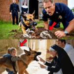 How Did a K9 Officer Discover What Dozens of Doctors and Administrators Couldn’t? The Shocking Truth Behind a Series of Quiet, Unexplained Deaths in One of the Nation’s Top Hospitals Will Leave You Questioning Everything You Thought You Knew About Modern Medicine—click the link to read more.