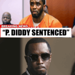 Diddy’s $1B Empire Collapses: FBI Seizes Jets & Homes as 5th Bond Plea Fails!