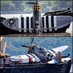 Lost in the Skies: The Untold Saga of B-17E “Madame X” Over Hawaii—Discover the Secret Upgrades That Turned This Flying Fortress Into a War Machine, and the Mysterious Story Behind the First Tail-Gunned Bomber That Changed WWII Aerial Combat Forever! What Really Happened to Madame X?