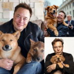 BREAKING NEWS: “Elon Musk’s $5 Million Gamble to Revolutionize Affordable Housing: Can His Bold Move Transform Struggling Communities?”